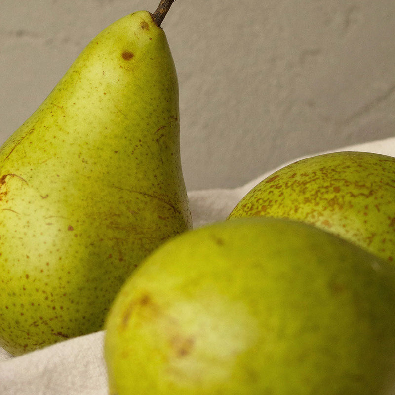 Pear & Freesia